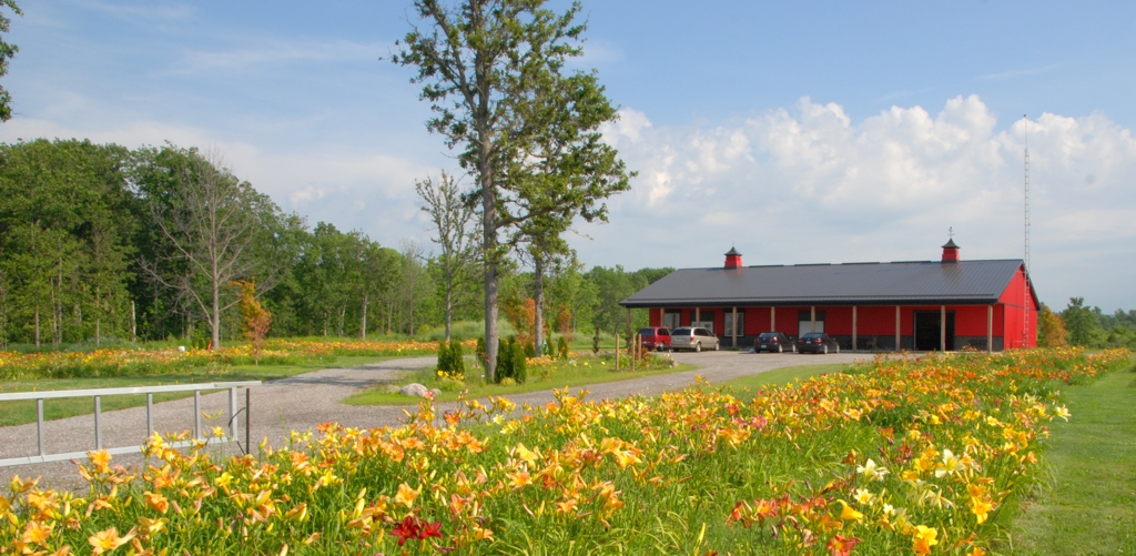 The Barn in full bloom, Mid July, 2015