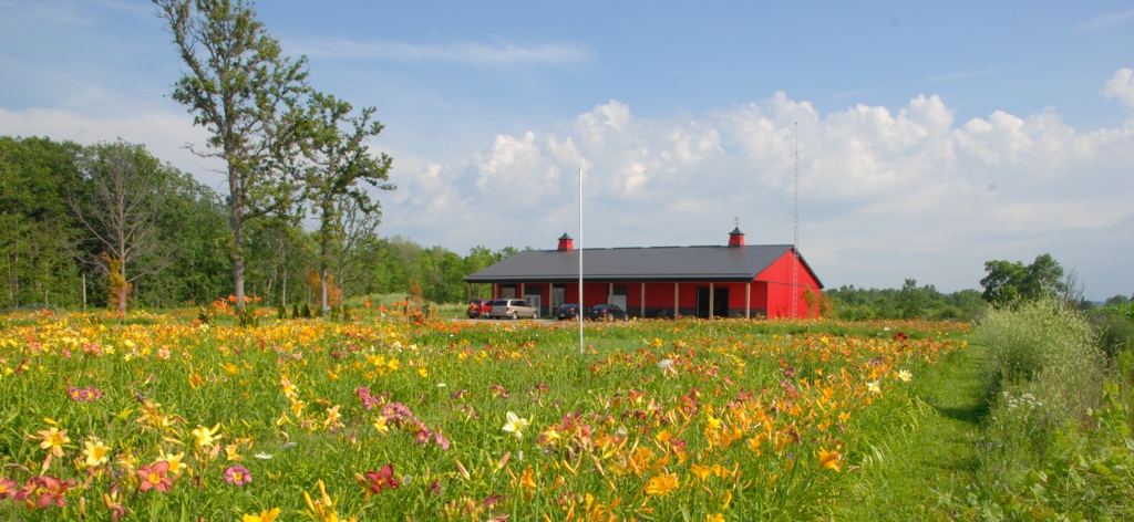 The Barn in full bloom, Mid July, 2015